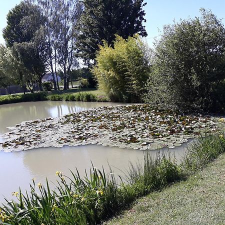 Comme A La Maison Pres Des Chateaux De La Loire Feings  المظهر الخارجي الصورة